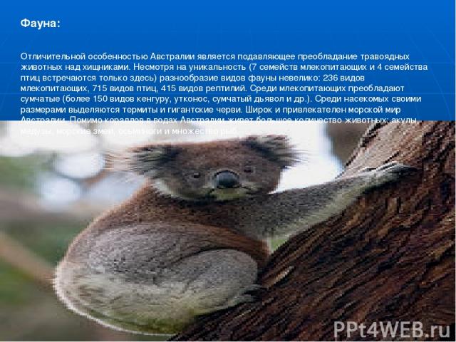Фауна: Отличительной особенностью Австралии является подавляющее преобладание травоядных животных над хищниками. Несмотря на уникальность (7 семейств млекопитающих и 4 семейства птиц встречаются только здесь) разнообразие видов фауны невелико: 236 в…