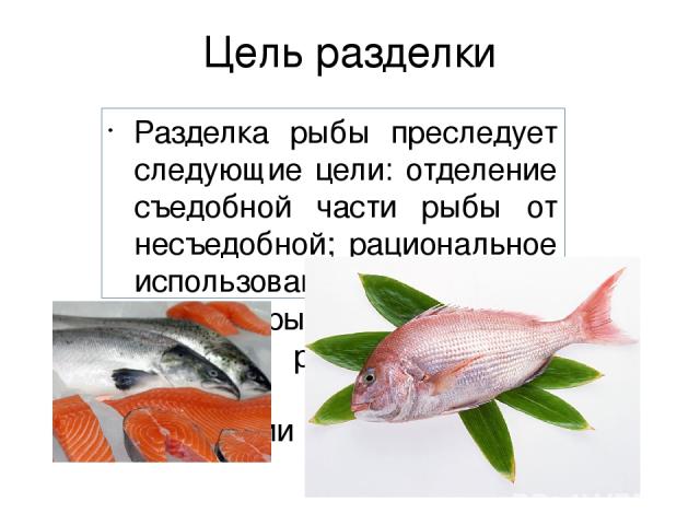 Цель разделки Разделка рыбы преследует следующие цели: отделение съедобной части рыбы от несъедобной; рациональное использование съедобной части рыбы, отделение органов рыбы особенно ценных в пищевом отношении