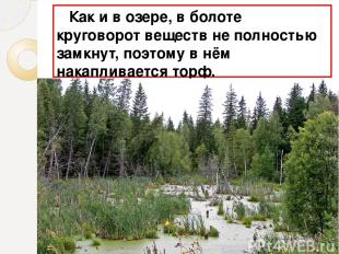 Как и в озере, в болоте круговорот веществ не полностью замкнут, поэтому в нём н