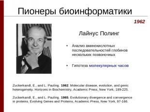 Пионеры биоинформатики Лайнус Полинг 1962 Zuckerkandl, E., and L. Pauling. 1962.
