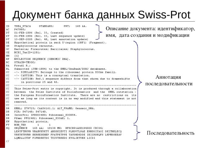 Документ банка данных Swiss-Prot Описание документа: идентификатор, имя, дата создания и модификации Аннотация последовательности Последовательность
