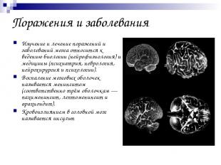 Поражения и заболевания Изучение и лечение поражений и заболеваний мозга относит