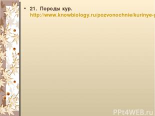 21. Породы кур. http://www.knowbiology.ru/pozvonochnie/kurinye-page16.html