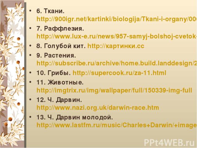 6. Ткани. http://900igr.net/kartinki/biologija/Tkani-i-organy/006-Vy-uznaete-podrobno-chto.html 7. Раффлезия. http://www.lux-e.ru/news/957-samyj-bolshoj-cvetok-v-mire-raffleziya-arnoldi-.html 8. Голубой кит. http://картинки.cc 9. Растения. http://su…