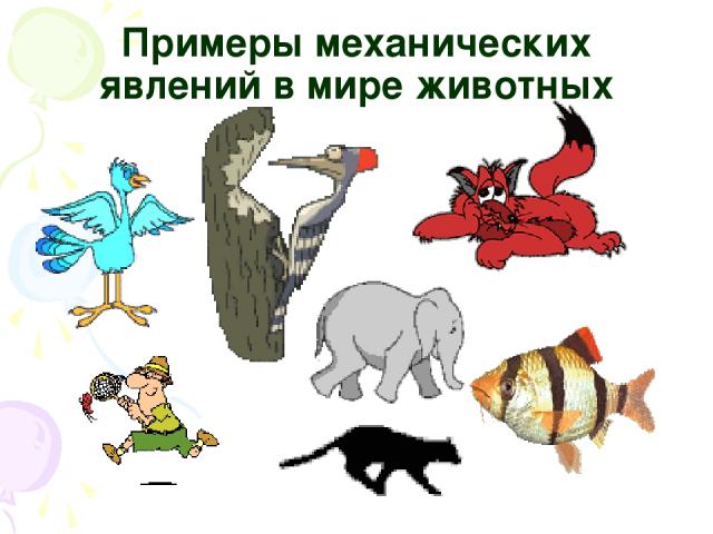 Примеры механических явлений в мире животных