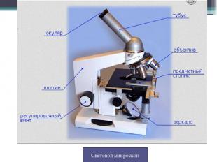 Световой микроскоп