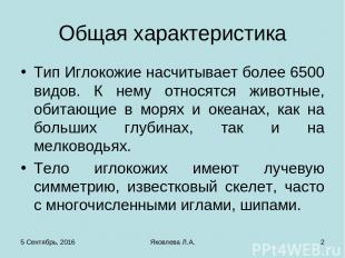 * Яковлева Л.А. * Общая характеристика Тип Иглокожие насчитывает более 6500 видо