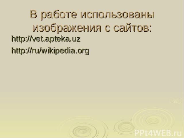 В работе использованы изображения с сайтов: http://vet.apteka.uz http://ru/wikipedia.org