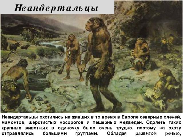 Неандертальцы охотились на живших в то время в Европе северных оленей, мамонтов, шерстистых носорогов и пещерных медведей. Одолеть таких крупных животных в одиночку было очень трудно, поэтому на охоту отправлялись большими группами. Обладая развитой…