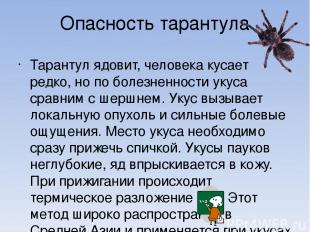 Опасность тарантула Тарантул ядовит, человека кусает редко, но по болезненности