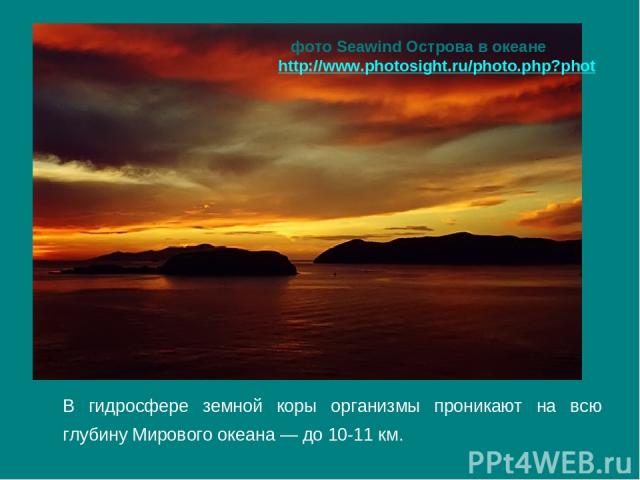 В гидросфере земной коры организмы проникают на всю глубину Мирового океана — до 10-11 км. фото Seawind Острова в океане http://www.photosight.ru/photo.php?phot