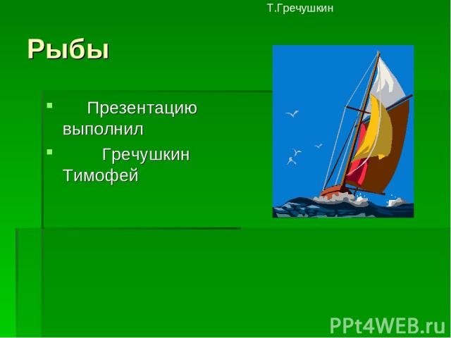 Рыбы Презентацию выполнил Гречушкин Тимофей Т.Гречушкин