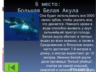 6 место: Большая Белая Акула Она будет использовать все 3000 своих зубов, чтобы