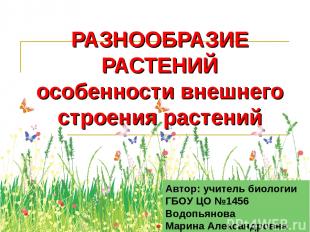 РАЗНООБРАЗИЕ РАСТЕНИЙ особенности внешнего строения растений Автор: учитель биол