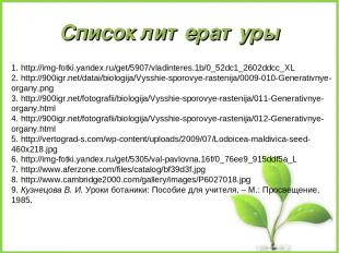 Список литературы 1. http://img-fotki.yandex.ru/get/5907/vladinteres.1b/0_52dc1_