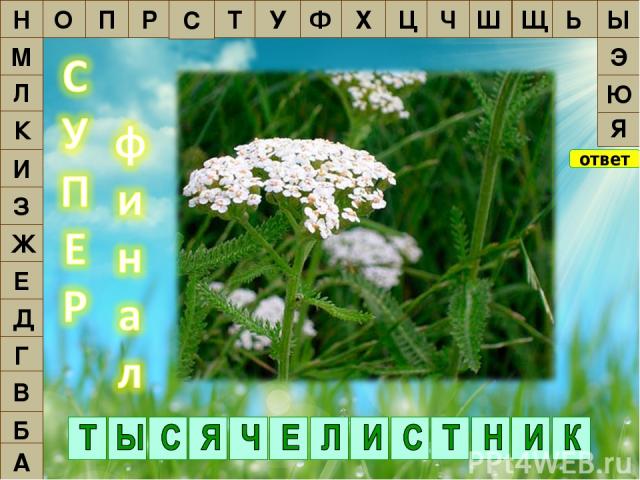 Фон. http://www.fotokanal.com/images/58/trava-3.jpg Поле чудес. http://img.zoneland.ru/images8/df58ef8836bd77c76c70a520a1c549f9.jpg.jpg Валериана лекарственная. http://www.plantarium.ru/dat/plants/3/334/127334_fe26e523.jpg Василек. http://s2.share.t…