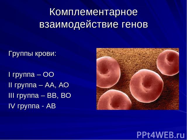 Комплементарное взаимодействие генов Группы крови: I группа – ОО II группа – АА, АО III группа – ВВ, ВО IV группа - АВ