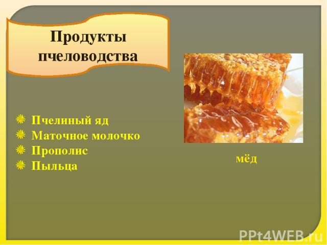 Продукты пчеловодства мёд Пчелиный яд Маточное молочко Прополис Пыльца