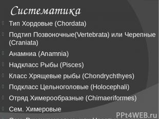 Систематика Тип Хордовые (Chordata) Подтип Позвоночные(Vertebrata) или Черепные