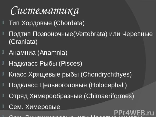 Систематика Тип Хордовые (Chordata) Подтип Позвоночные(Vertebrata) или Черепные (Craniata) Анамниа (Anamnia) Надкласс Рыбы (Pisces) Класс Хрящевые рыбы (Chondrychthyes) Подкласс Цельноголовые (Holocephali) Отряд Химерообразные (Chimaeriformes) Сем. …