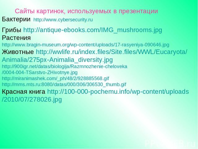 Сайты картинок, используемых в презентации Бактерии http://www.cybersecurity.ru Грибы http://antique-ebooks.com/IMG_mushrooms.jpg Растения http://www.bragin-museum.org/wp-content/uploads/17-rasyeniya-090646.jpg Животные http://wwlife.ru/index.files/…