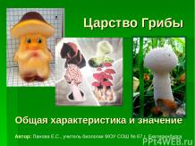 Общая характеристика и значение грибов