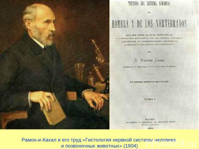 Рамон-и-Кахал и его труд «Гистология нервной системы человека и позвоночных животных» (1904)