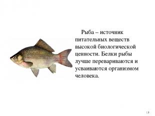 Рыба – источник питательных веществ высокой биологической ценности. Белки рыбы л