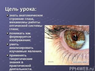 Цель урока: знать анатомическое строение глаза, механизмы работы оптической сист