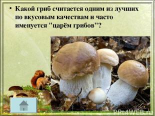 Какой гриб считается одним из лучших по вкусовым качествам и часто именуется "ца