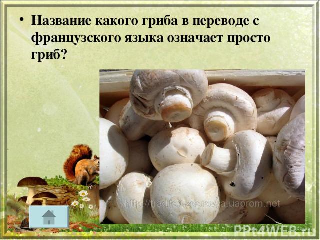 Название какого гриба в переводе с французского языка означает просто гриб?