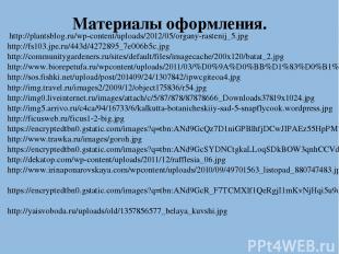 Материалы оформления. http://plantsblog.ru/wp-content/uploads/2012/05/organy-ras