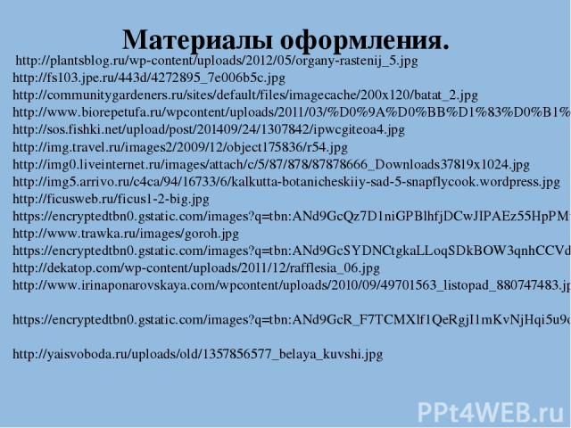 Материалы оформления. http://plantsblog.ru/wp-content/uploads/2012/05/organy-rastenij_5.jpg http://fs103.jpe.ru/443d/4272895_7e006b5c.jpg http://communitygardeners.ru/sites/default/files/imagecache/200x120/batat_2.jpg http://www.biorepetufa.ru/wpcon…