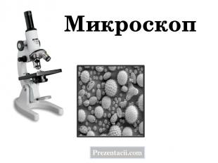 Микроскоп Prezentacii.com