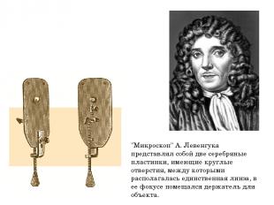 "Микроскоп" А. Левенгука представлял собой две серебряные пластинки, имеющие кру