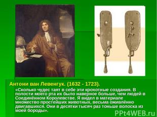 Антони ван Левенгук. (1632 - 1723). «Сколько чудес таят в себе эти крохотные соз