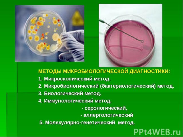 МЕТОДЫ МИКРОБИОЛОГИЧЕСКОЙ ДИАГНОСТИКИ: 1. Микроскопический метод. 2. Микробиологический (бактериологический) метод. 3. Биологический метод. 4. Иммунологический метод. - серологический, - аллергологический 5. Молекулярно-генетический метод.