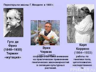 Гуго де Фриз (1848–1935) Термин «мутация» сосредоточил свое внимание на практиче