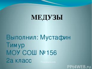 Выполнил: Мустафин Тимур МОУ СОШ №156 2а класс Екатеринбург, 2011 г МЕДУЗЫ Preze