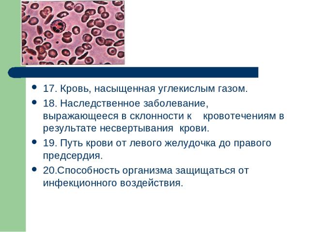 17. Кровь, насыщенная углекислым газом. 18. Наследственное заболевание, выражающееся в склонности к кровотечениям в результате несвертывания крови. 19. Путь крови от левого желудочка до правого предсердия. 20.Способность организма защищаться от инфе…