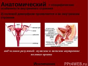 Анатомический = специфические особенности внутреннего строения Исключения 2) пол