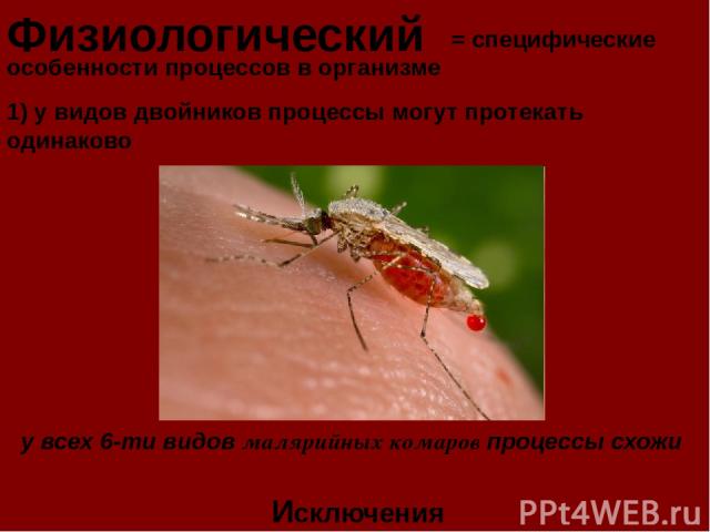 Физиологический = специфические особенности процессов в организме Исключения 1) у видов двойников процессы могут протекать одинаково у всех 6-ти видов малярийных комаров процессы схожи