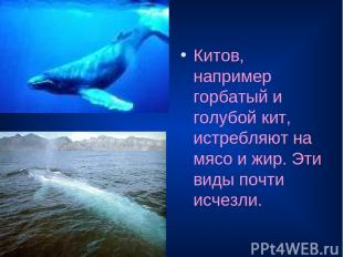 Китов, например горбатый и голубой кит, истребляют на мясо и жир. Эти виды почти