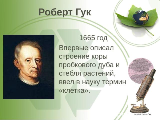 Роберт Гук 1665 год Впервые описал строение коры пробкового дуба и стебля растений, ввел в науку термин «клетка».