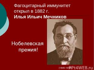 Фагоцитарный иммунитет открыл в 1882 г. Илья Ильич Мечников (1845-1916) Нобелевс