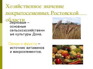 Хозяйственное значение покрытосеменных Ростовской области Зерновые –основные сел