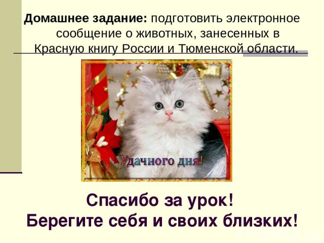 Спасибо за урок! Берегите себя и своих близких! Домашнее задание: подготовить электронное сообщение о животных, занесенных в Красную книгу России и Тюменской области.