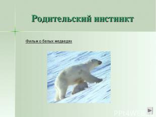 Родительский инстинкт Фильм о белых медведях