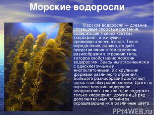 Морские водоросли Морские водоросли — древние, слоевцовые споровые растения, сод