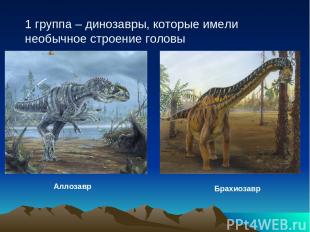 1 группа – динозавры, которые имели необычное строение головы Аллозавр Брахиозав